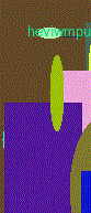 flash video file